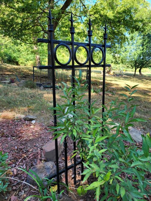 Yard/Garden Trellis: with Rings and Sub-Pickets